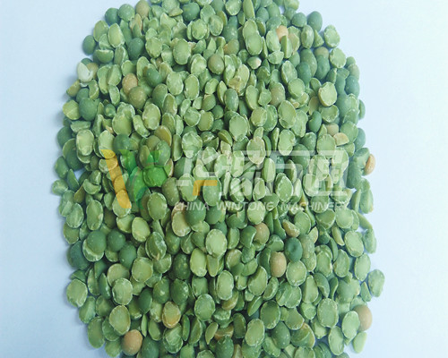 <a href=http://m.cixiu.org.cn/product/8/ target=_blank class=infotextkey>豌豆脫皮機</a>